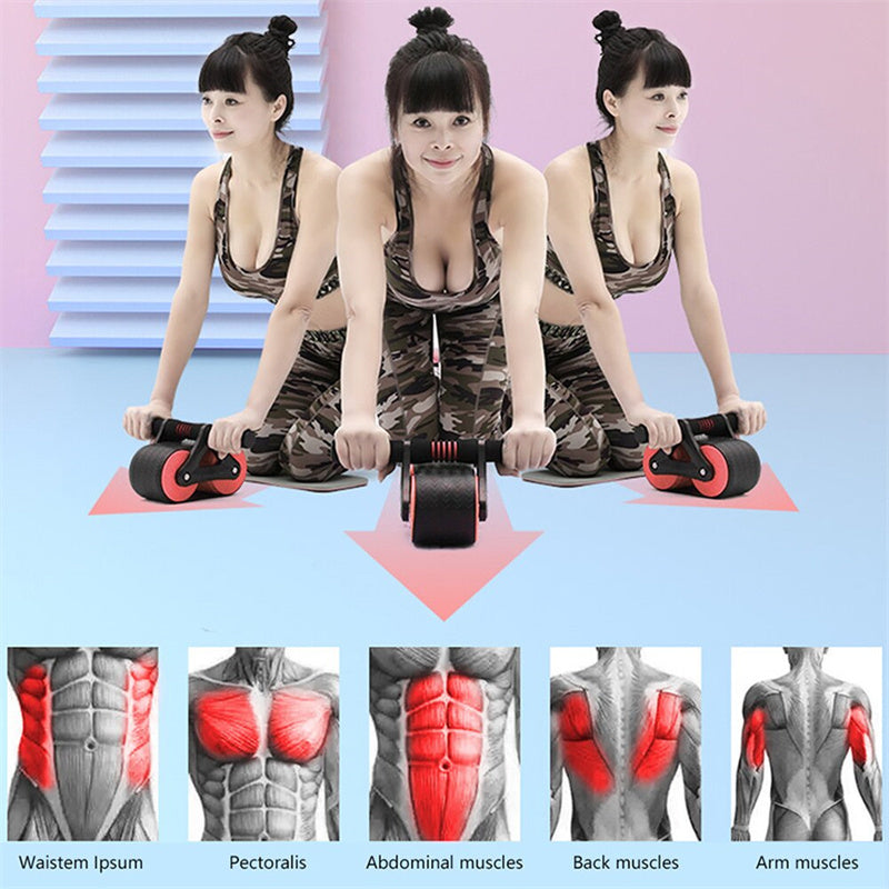 Double Wheel Abdominal Home Exercise Devices